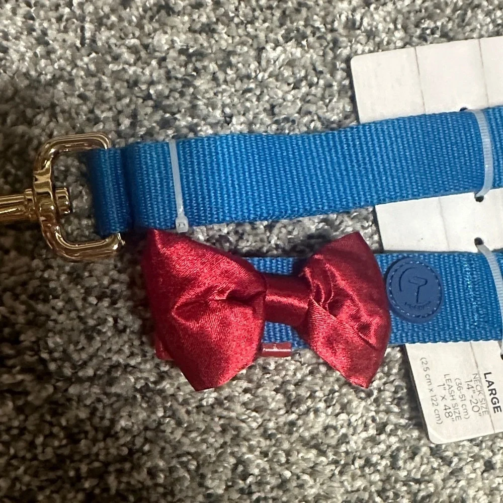 Kids Blue Nylon Leash and Collar Set with Red Bow